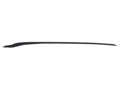 Ford AE8Z-5403136-A Windshield Molding, Front Passenger Side