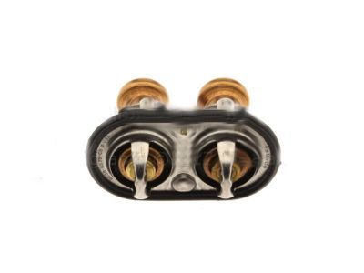 Ford BC3Z-8575-D Thermostat Assy