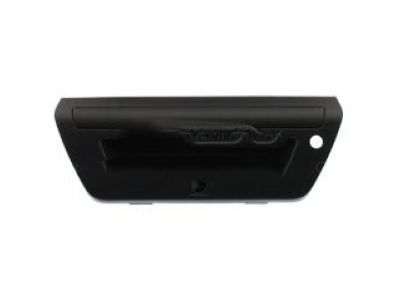 Ford Tailgate Handle - FL3Z-9943400-GBPTM