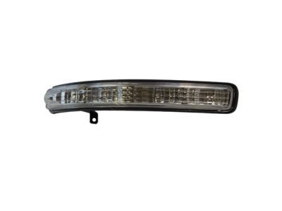 Ford BB5Z-13B374-A Signal Lamp, Passenger Side