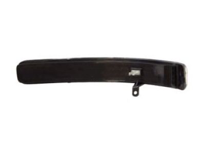 Ford BB5Z-13B374-A Signal Lamp, Passenger Side