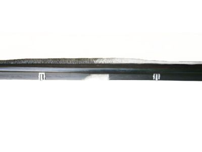 Ford 1F1Z-5421453-AA Belt Weatherstrip, Driver Side