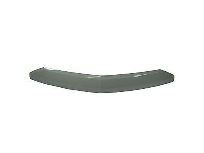 Lincoln 7L7Z-16856-BPTM Front Molding
