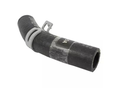 Ford YL8Z-6N746-DA Hose Assembly