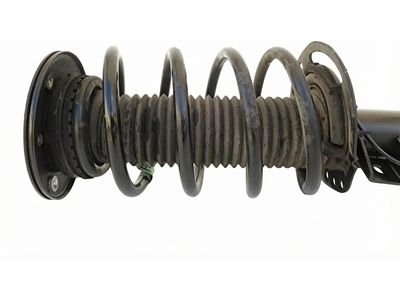 EG9Z-18124-C Ford Strut - Suspension, Passenger Side Product Photo 4 of 4