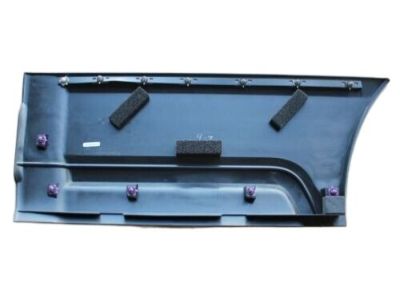 Ford 2L7Z-7824736-AAB Panel Assembly - Exterior Trim, Passenger Side