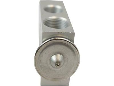 Ford 2L1Z-19849-BA Valve Assembly - Evaporator Expansion, Rear