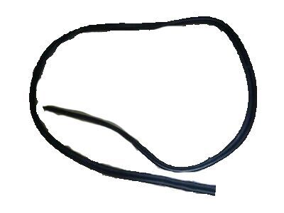 Mercury Weather Strip - 8L2Z-78404A06-A