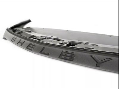 Ford FR3Z-17626-E Valance