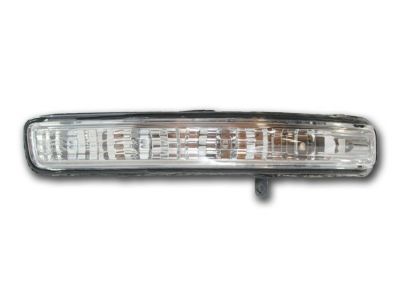 Ford BB5Z-13B375-A Signal Lamp, Driver Side