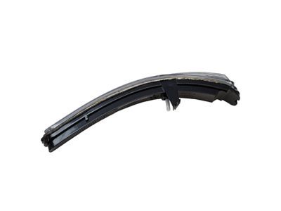 Ford BB5Z-13B375-A Signal Lamp, Driver Side