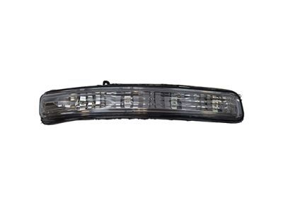 Ford BB5Z-13B375-A Signal Lamp, Driver Side