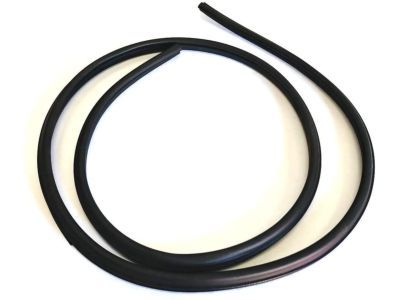 Mercury YF1Z-5420708-AAA Body Weatherstrip
