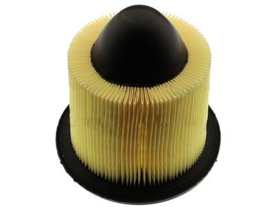 Ford F5OZ-9601-BA Air Filter