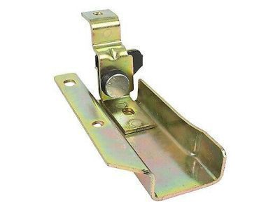Ford Door Check - F2UZ-1525054-A