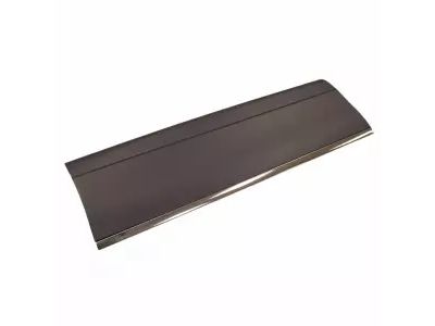 Ford XW1Z-5420879-AAC Moulding - Door Outside, Driver Side