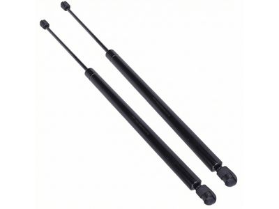 Ford YL8Z-78406A10-AA Lift Assembly - Gas, Passenger Side YL8Z-78406A10-AA Ford Lift Assembly - Gas, Passenger Side Product Photo 1 of 4