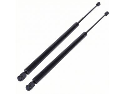 YL8Z-78406A10-AA Ford Lift Assembly - Gas, Passenger Side Product Photo 4 of 4
