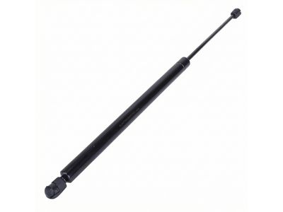 YL8Z-78406A10-AA Ford Lift Assembly - Gas, Passenger Side Product Photo 2 of 4