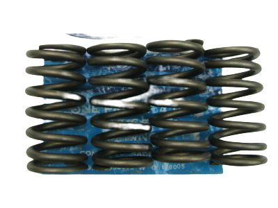 Lincoln F1AZ-6513-A Valve Springs