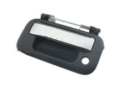 Ford 8L3Z-9943400-DN Handle