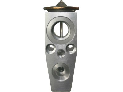 Ford AR3Z-19849-A Valve Assembly - Evaporator Expansion