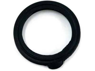 Mercury YF1Z-6C527-AA Gasket - Spark Plug Aperture