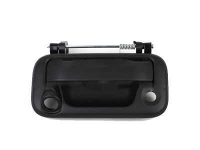 Ford F-250 Super Duty Tailgate Handle - 8L3Z-9943400-AC