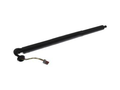 Ford Trunk Lid Lift Support - FB5Z-78406A10-B
