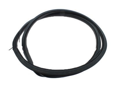 Ford GP5Z-5420709-A Weatherstrip Assembly - Door Opening, Driver Side