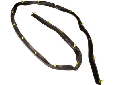 2008 Lincoln Mark LT Weather Strip - 4L3Z-16101C36-AA