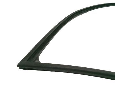 Ford 4W1Z-5421596-AA Run Channel, Passenger Side