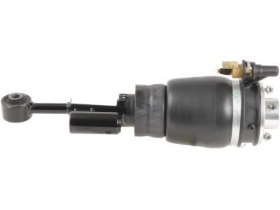 Lincoln 2L7Z-18124-BB Shock Absorber Assy