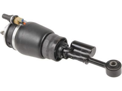 Lincoln 2L7Z-18124-BB Shock Absorber Assy