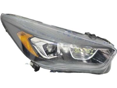 Ford GJ5Z-13008-L Lamp Assembly, Passenger Side