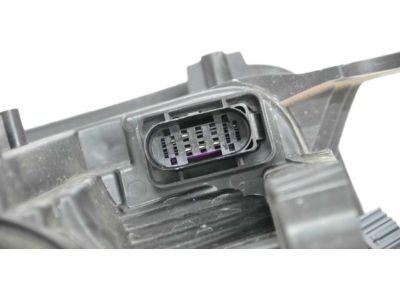 Ford GJ5Z-13008-L Lamp Assembly, Passenger Side