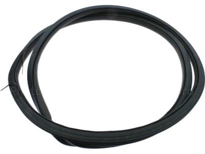 Ford DP5Z-5420709-A Weatherstrip Assembly - Door Opening, Driver Side