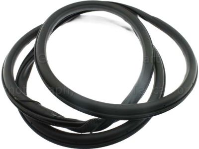 Ford DP5Z-5420709-A Weatherstrip Assembly - Door Opening, Driver Side