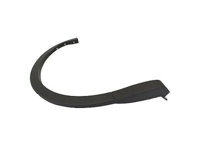 Lincoln FA1Z-58290A61-AA Moulding