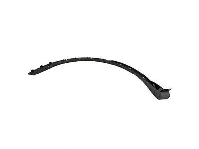 Lincoln FA1Z-58290A61-AA Moulding