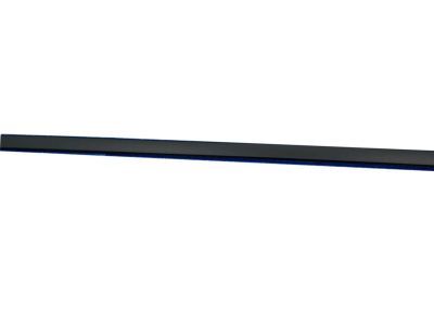 Ford CJ5Z-7850462-AC Roof Molding