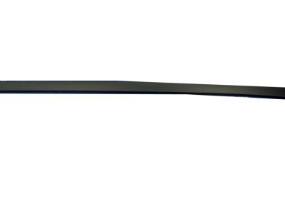 Ford CJ5Z-7850462-AC Roof Molding