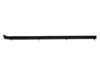 Ford E9TZ-1521456-A Weatherstrip - Door