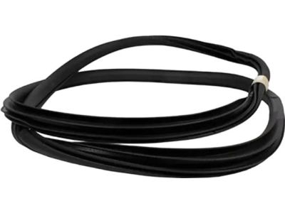 Ford HL3Z-16253A10-A Weatherstrip Assembly - Door Opening, Passenger Side
