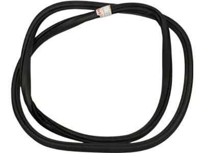 Ford HL3Z-16253A10-A Weatherstrip Assembly - Door Opening, Passenger Side