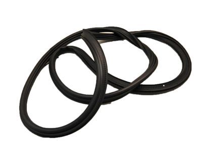 Ford Weather Strip - 8T4Z-78404A06-A