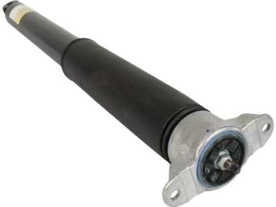 Ford CV6Z-18125-A Shock Absorber Assembly