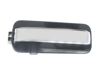 Ford FL3Z-1626605-DDPTM Handle Assy - Door - Outer