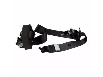 Ford 9L8Z-78611B69-AC Seat Belt Assembly, Driver Side