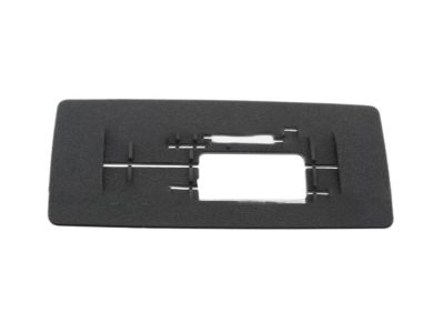 Ford DG1Z-5442624-AA Latch Cover